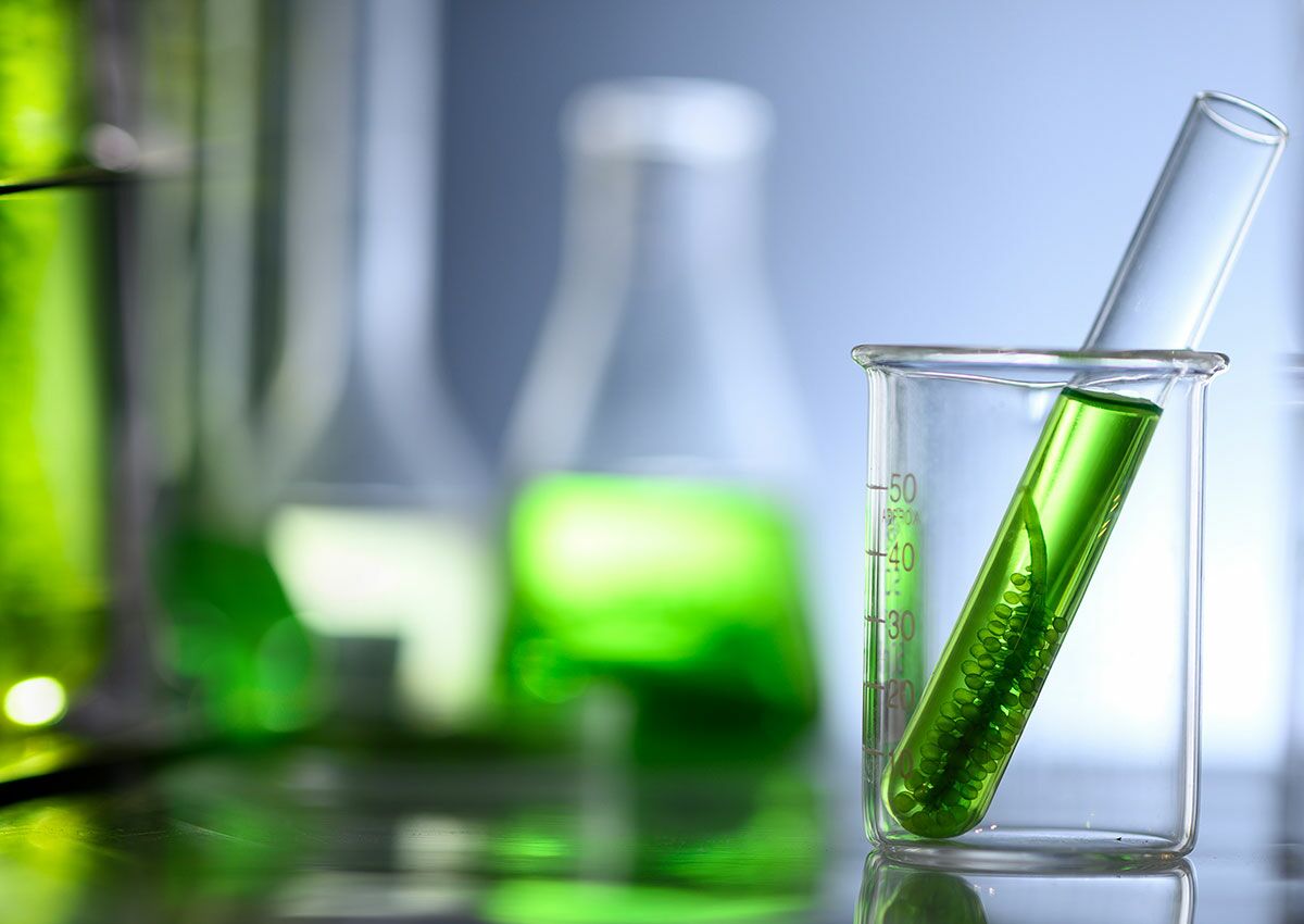 Natürliche Quellen für AOX durch biologische und geologische Prozesse