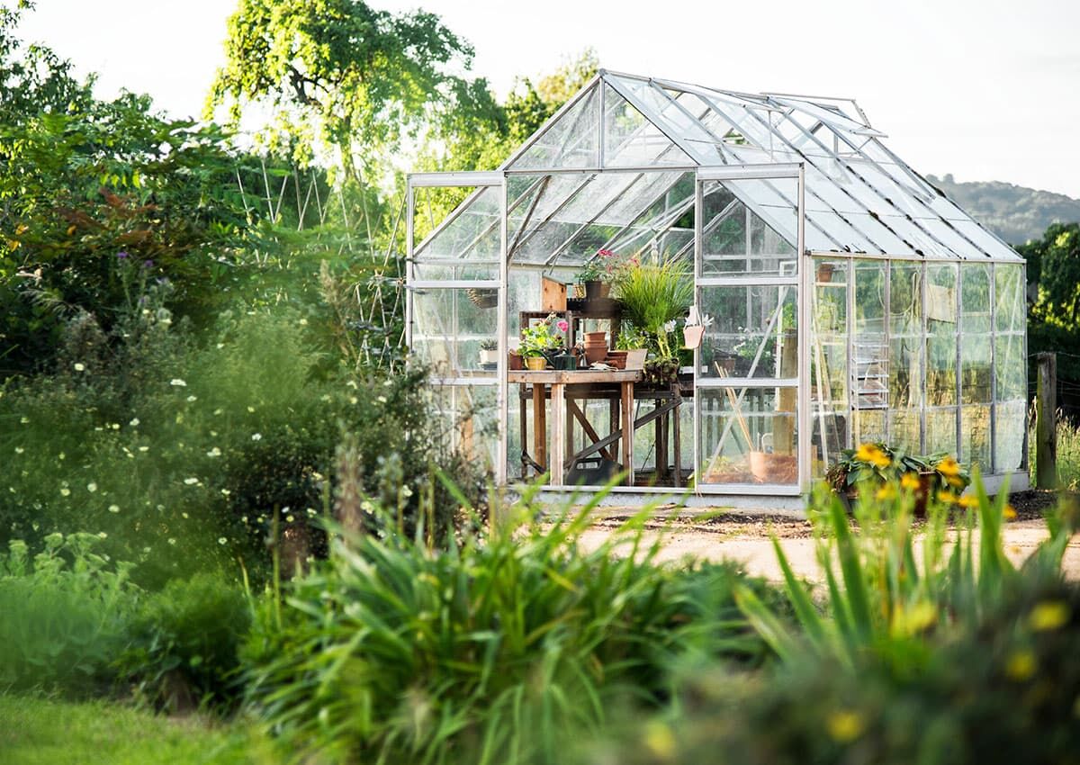 Workplace Gardening im Bürogarten mit Workshops