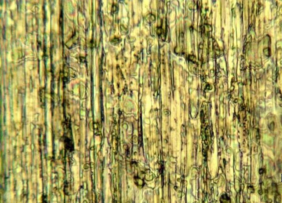 Laboratory for technical cleanliness: Filmic contamination