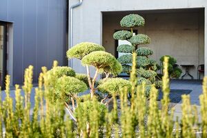Appealing exterior surfaces at Quality Analysis