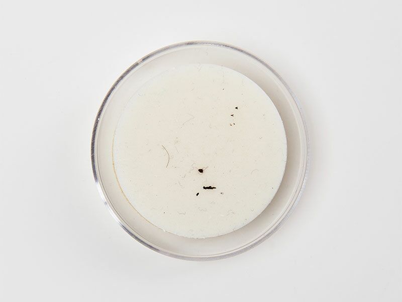 Partikelstempel, richtige Anwendung: Schritt 6