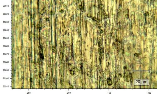 Detection and identification of chemical-film contamination
