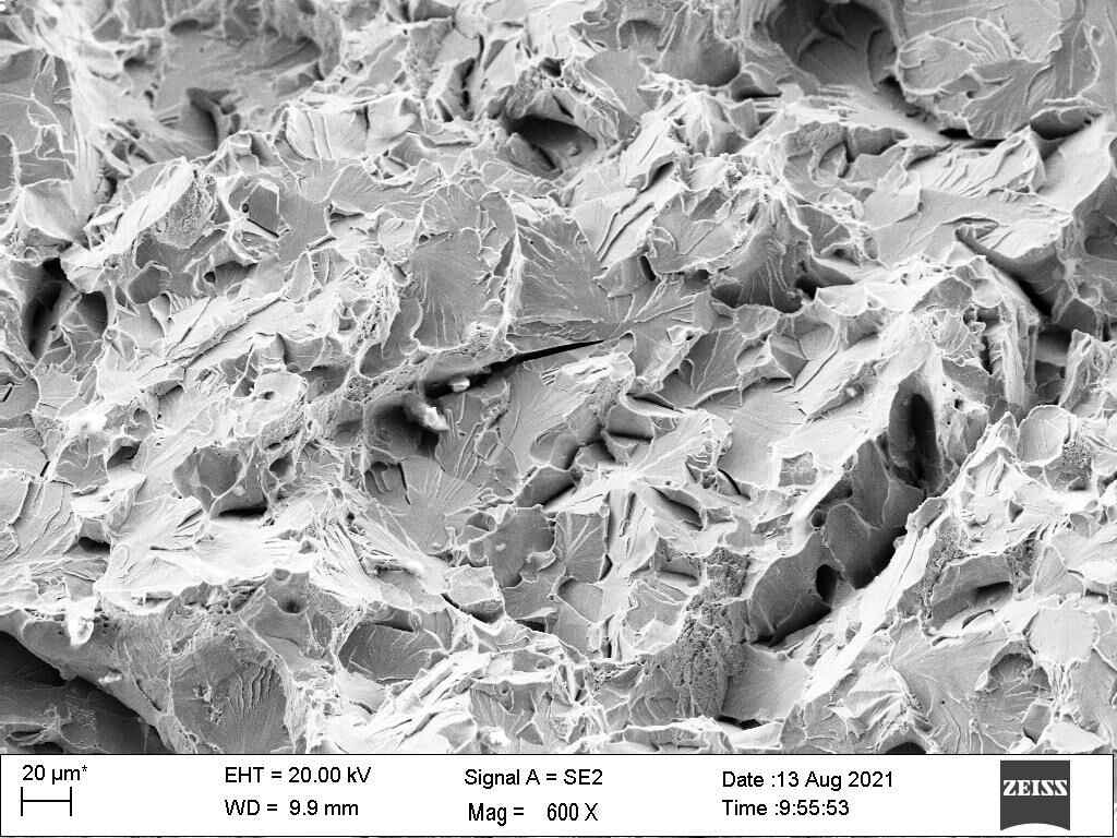 Scanning electron microscopy
