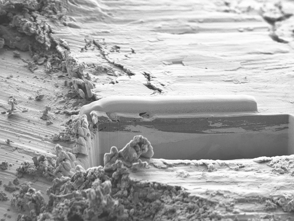 The scanning electron microscope makes it possible to look inside material samples