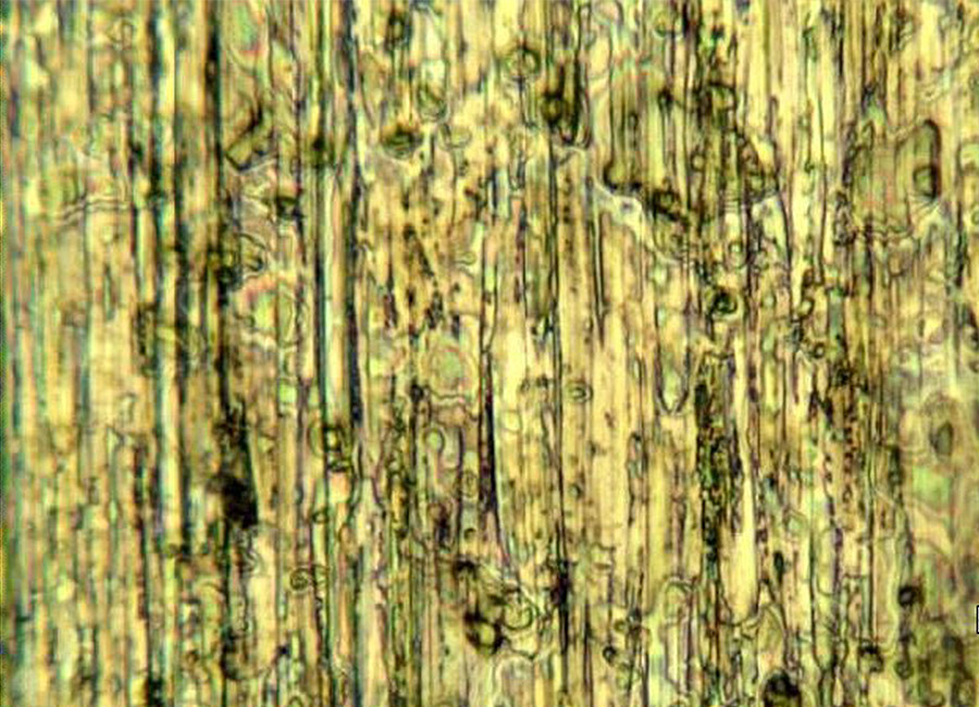 Detection and analysis of filmic contaminants
