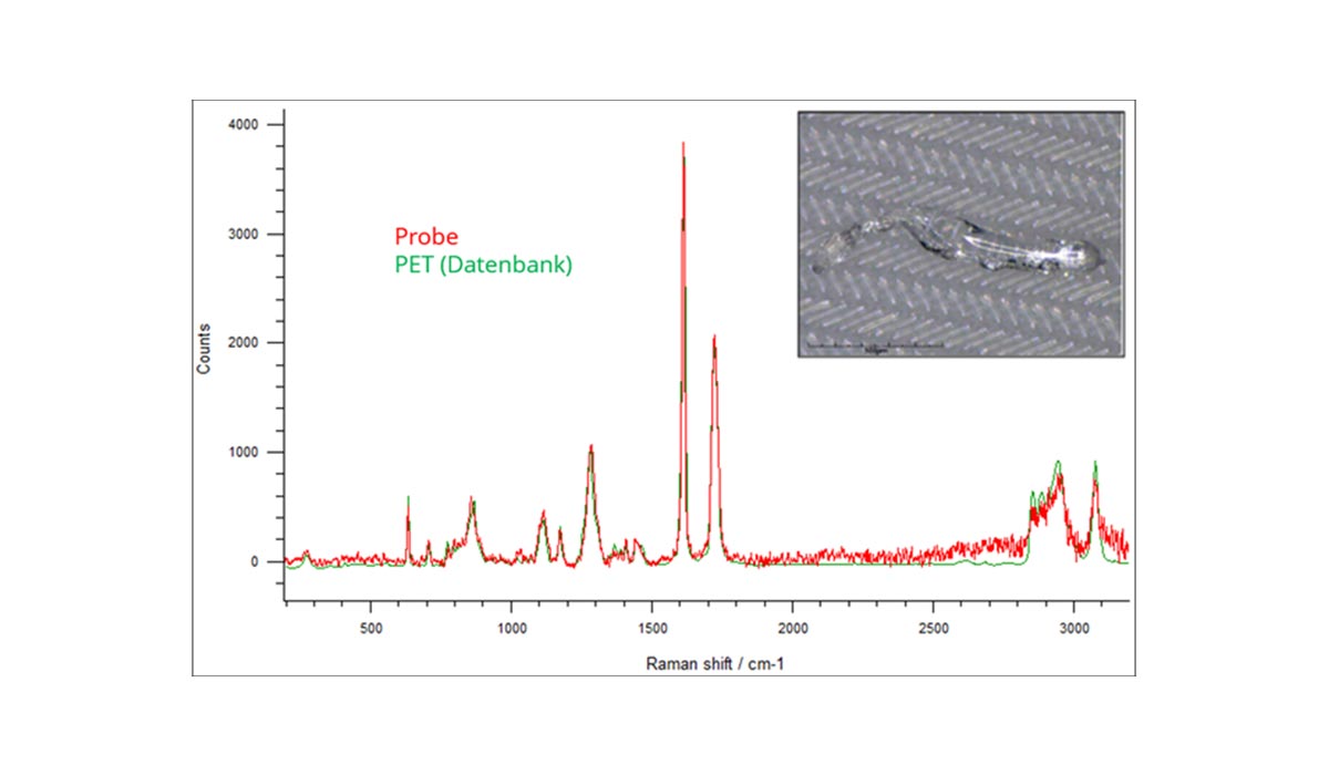 Detection and identification of particulate contamination