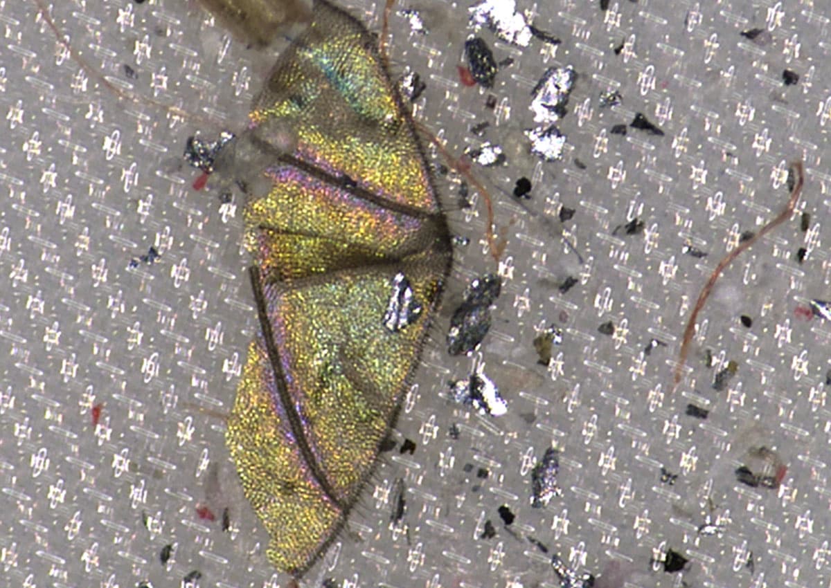 Organic particles on the surface of the part