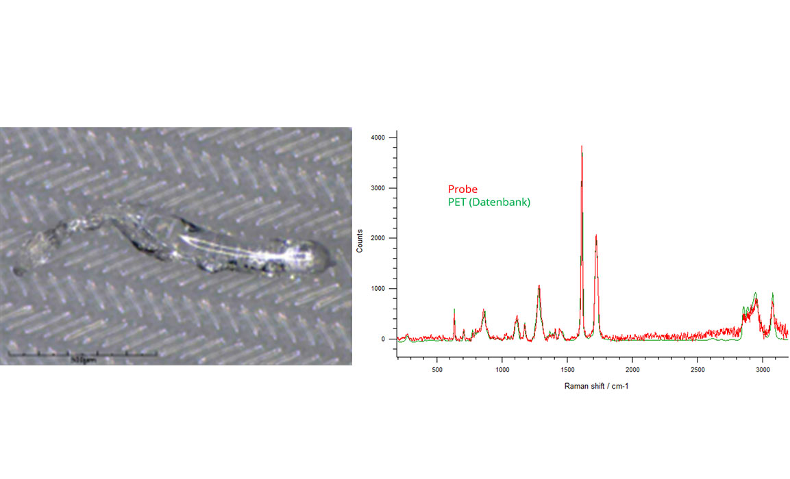 Raman-Spektroskopie: Nachweis und Identifizierung organischer Proben