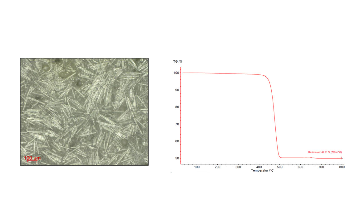 Thermogravimetrische Analyse (TGA) zur Bestimmung von Masseänderungen