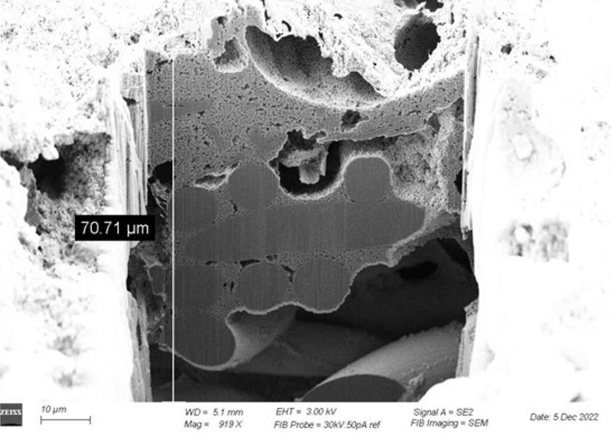 Micrograph of a fuel cell using FIB-SEM microscopy
