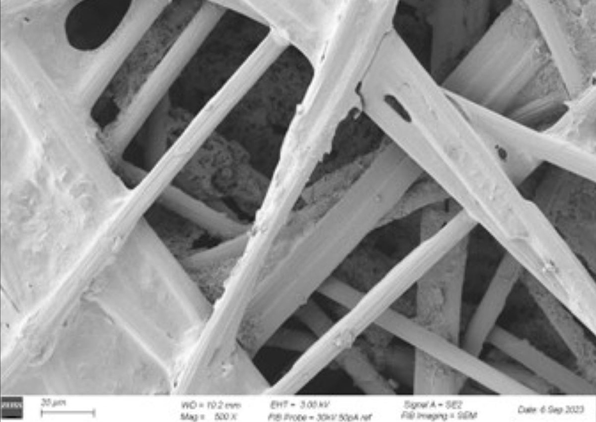 Microscopic image of a gas-permeable layer from a fuel cell using FIB-SEM microscopy